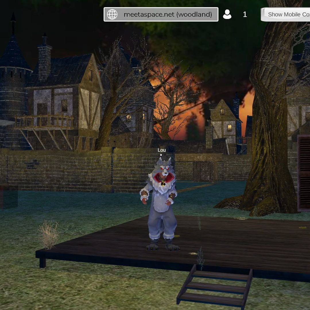 screenshot of a Metaverse Space with dark environment and old houses